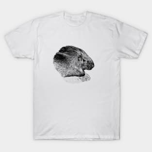 Crested porcupine T-Shirt